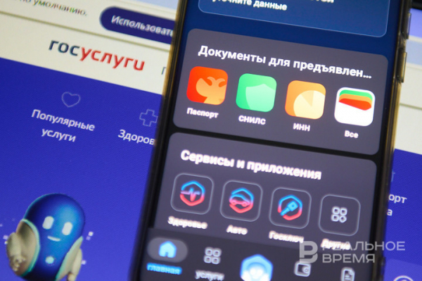 На Госуслугах появился раздел для психологической поддержки участников СВО