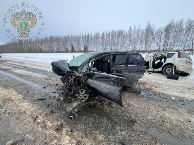 Смертельная встречка: двое водителей иномарок погибли в ДТП в Чистопольском районе