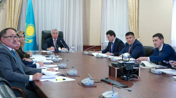 Казахстан запускает около 200 инвестпроектов для снижения импортозависимости в АПК