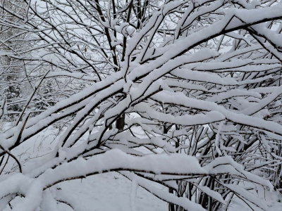 Синоптик назвал сроки обильных снегопадов в Москве