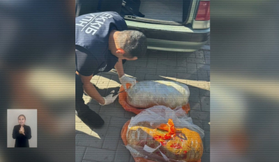 11 нарколабораторий ликвидировано в Казахстане с начала года