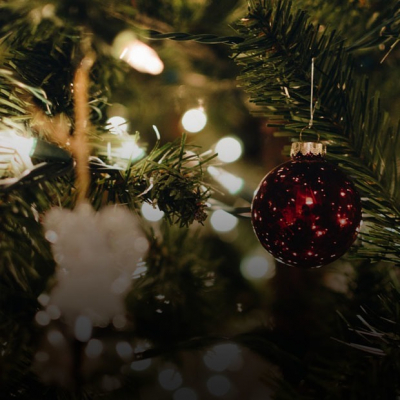 Winter Family Party, фильм «Небесный верблюд» и концерт Thriller