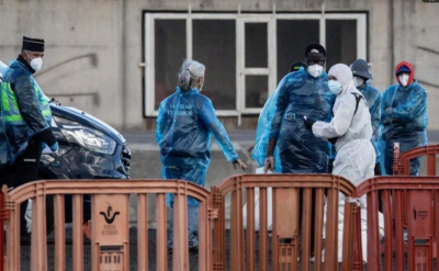 ВОЗ вновь повысила число выявленных случаев заражения хантавирусом до 11