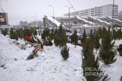 В Казани на переработку сдали более 2,5 тыс. новогодних деревьев