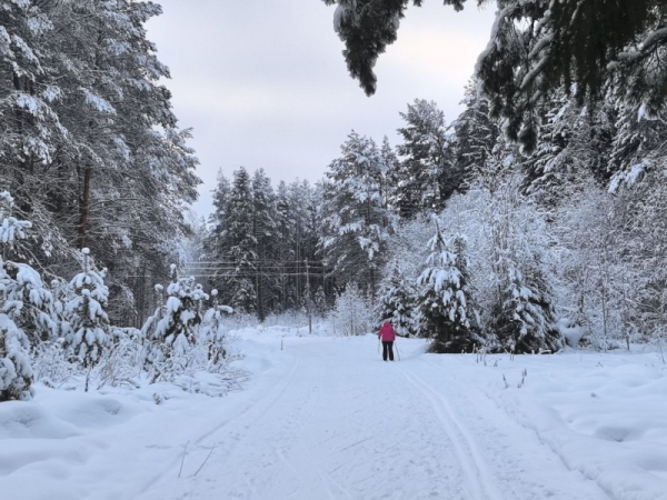 Друг Усольцева раскрыл страшную догадку об исчезновении семьи