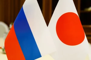 В посольстве РФ подтвердили, что в Токио его авто попало в ДТП