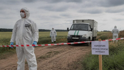 В соседней с Татарстаном области ввели карантин из-за болезни Банга 14/06/2026 – Новости