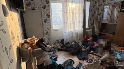 Малыши спали в грязи среди кошек: полицейские спасли детей из заваленной хламом квартиры - фото 29/01/2026 – Новости