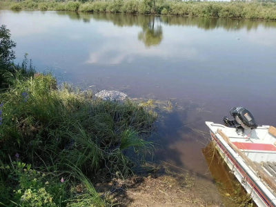 В Татарстане обнаружено тело мужчины, пропавшего во время купания в Вятке