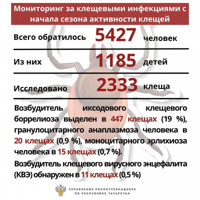 Семь новых случаев иксодового клещевого боррелиоза выявлено в Татарстане