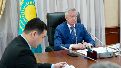 В Казахстане для борьбы с саранчой будут применять дроны