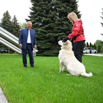 Минниханов показал Бердымухамедову алабая Акдуса, подаренного пять лет назад (ВИДЕО)